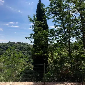La Casa All'oliveto Apartment